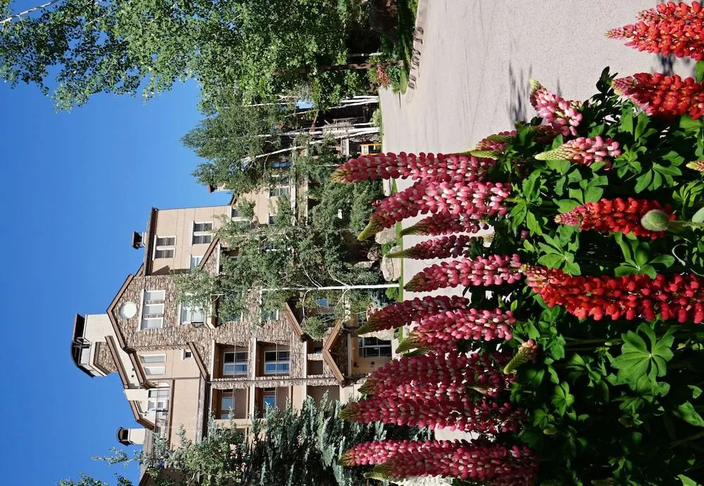 Woodrun Place, a Destination by Hyatt Residence - Général