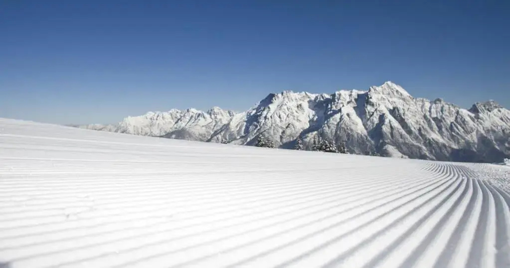 Ski & Bike Hotel Wiesenegg - Général
