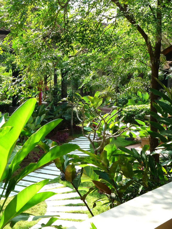 Montra Samui - Général