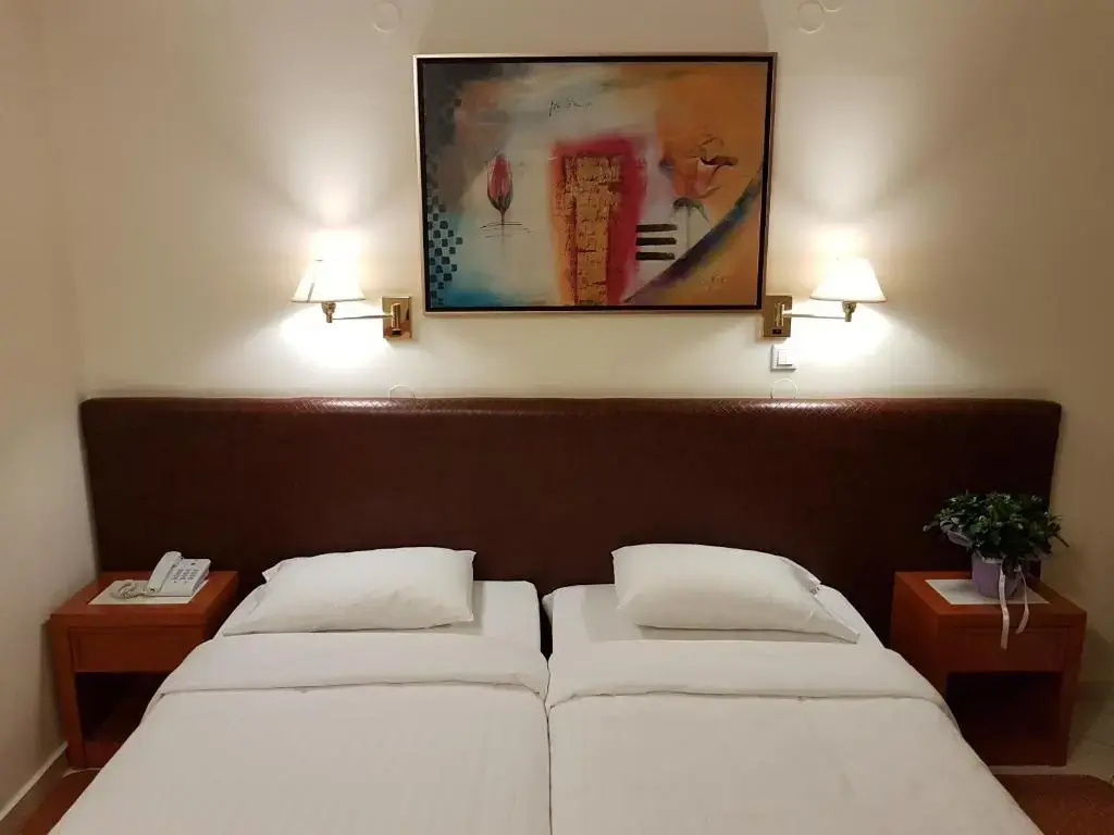 Standard Double room (full double bed)