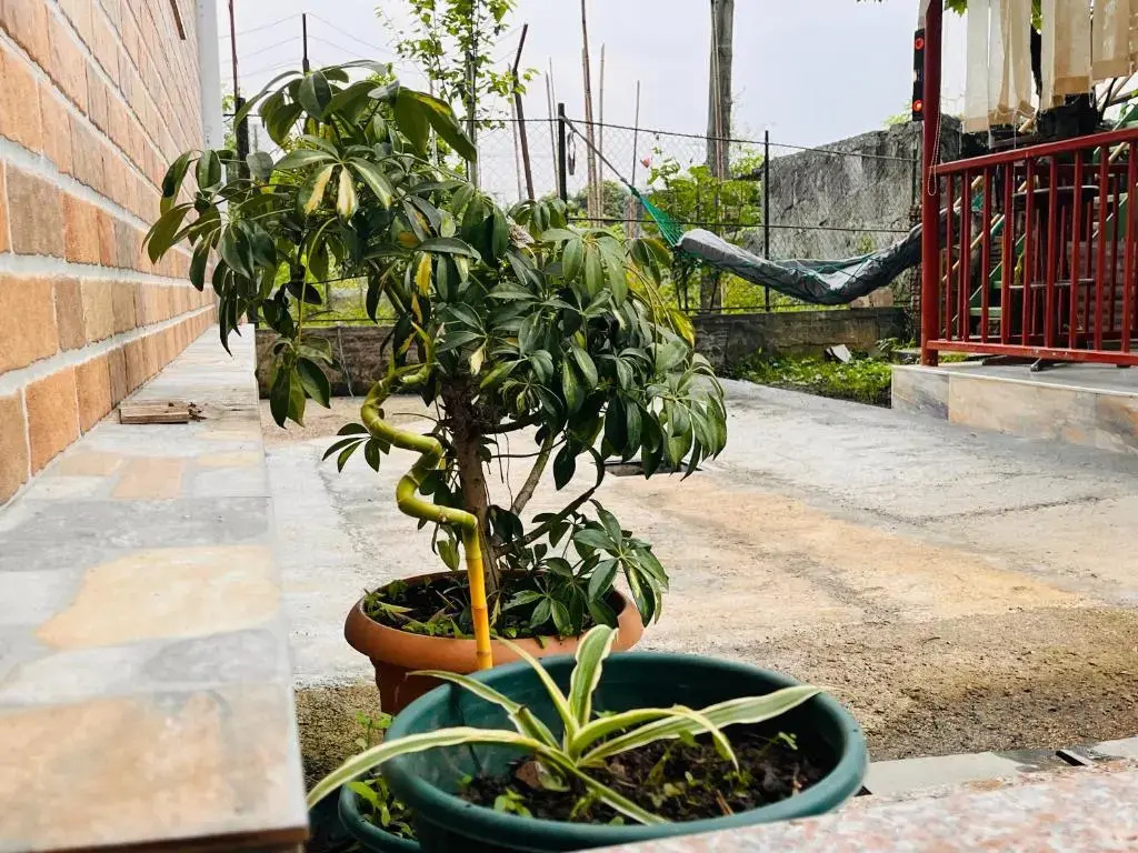 Dato's GuestHouse