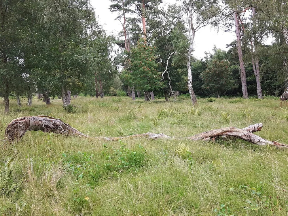8 Person Holiday Home in Vaeggerlose