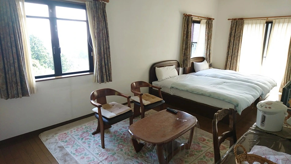 Standard Double room (twin beds)