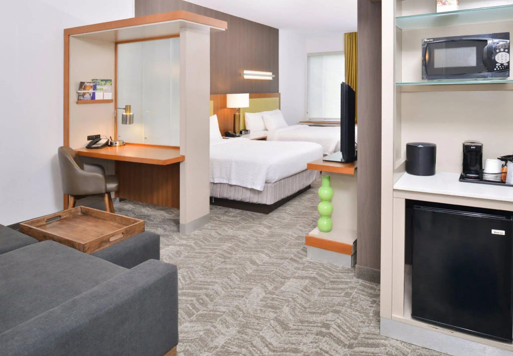SpringHill Suites by Marriott Ashburn Dulles North - Général