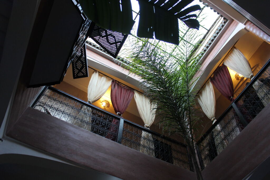 Image 12