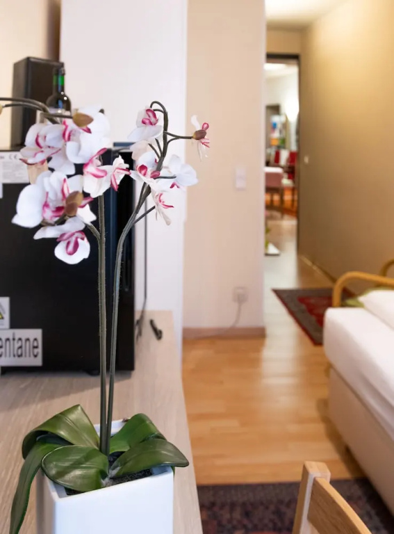 Hotel Pension Mariahilf - Chambres