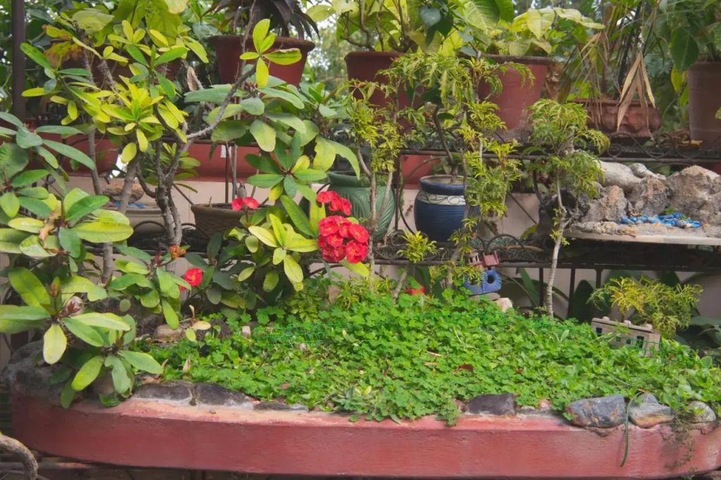 Hotel photo 28
