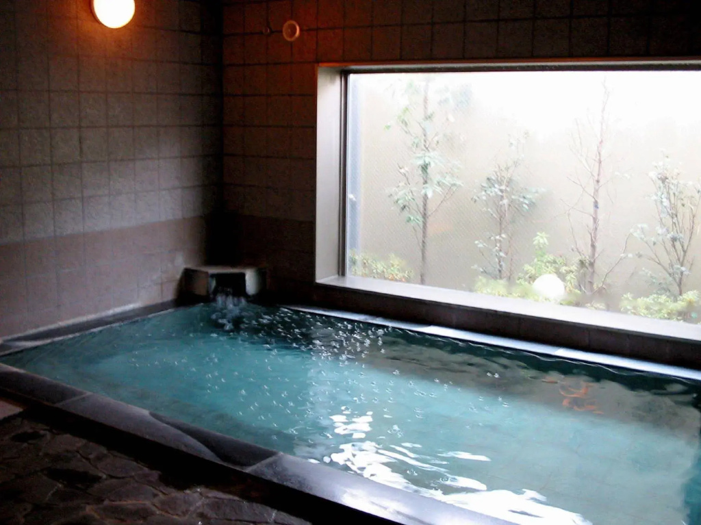 Hotel Route Inn Ageo - фото 18