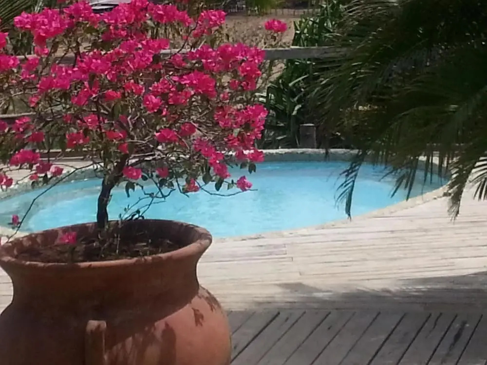 El Sabanero Eco-Lodge