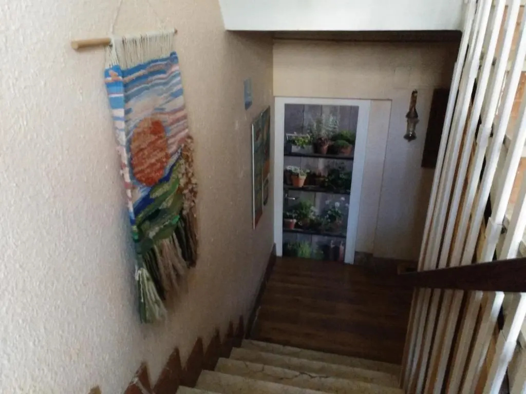 Balcony & Terrace