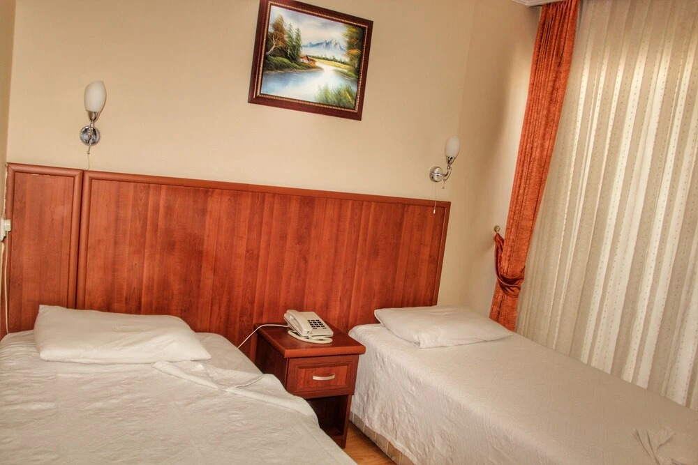 Двухместный номер Standard двуспальная кровать в Seckin Ak Hotel