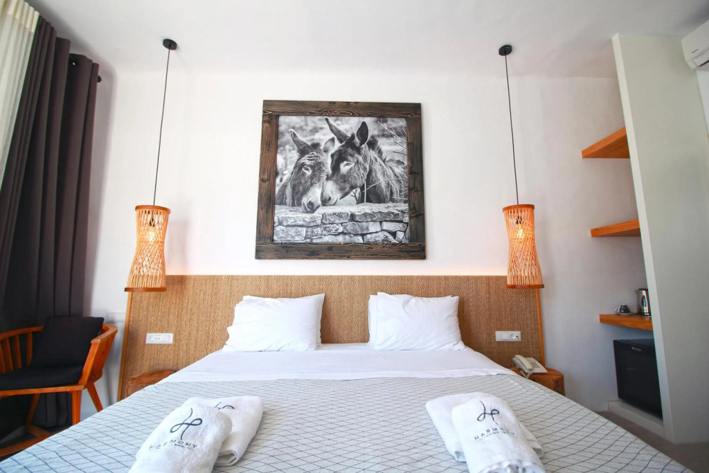 Harmony Boutique Hotel - Général