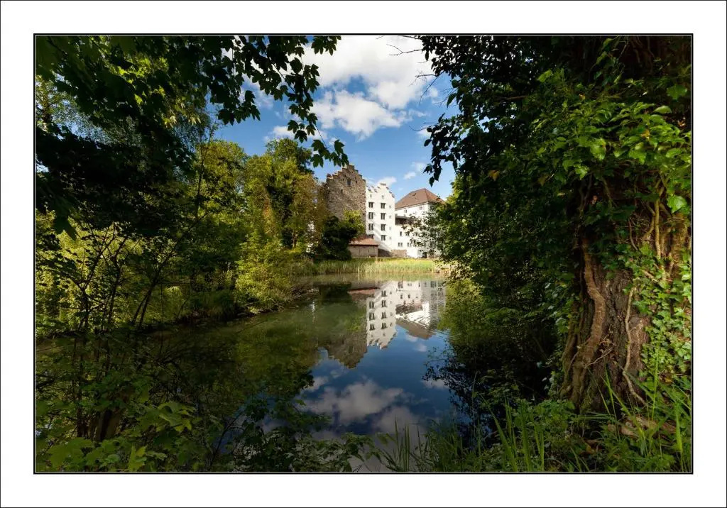 Standard Double room with mountain view (full double bed)