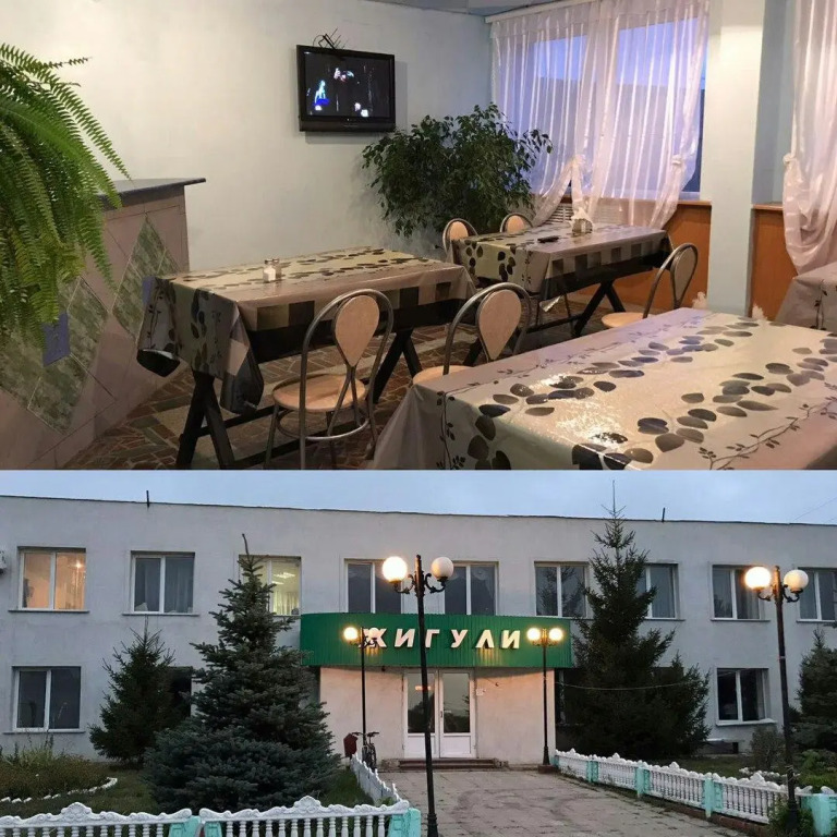 Zhiguli - фото 6