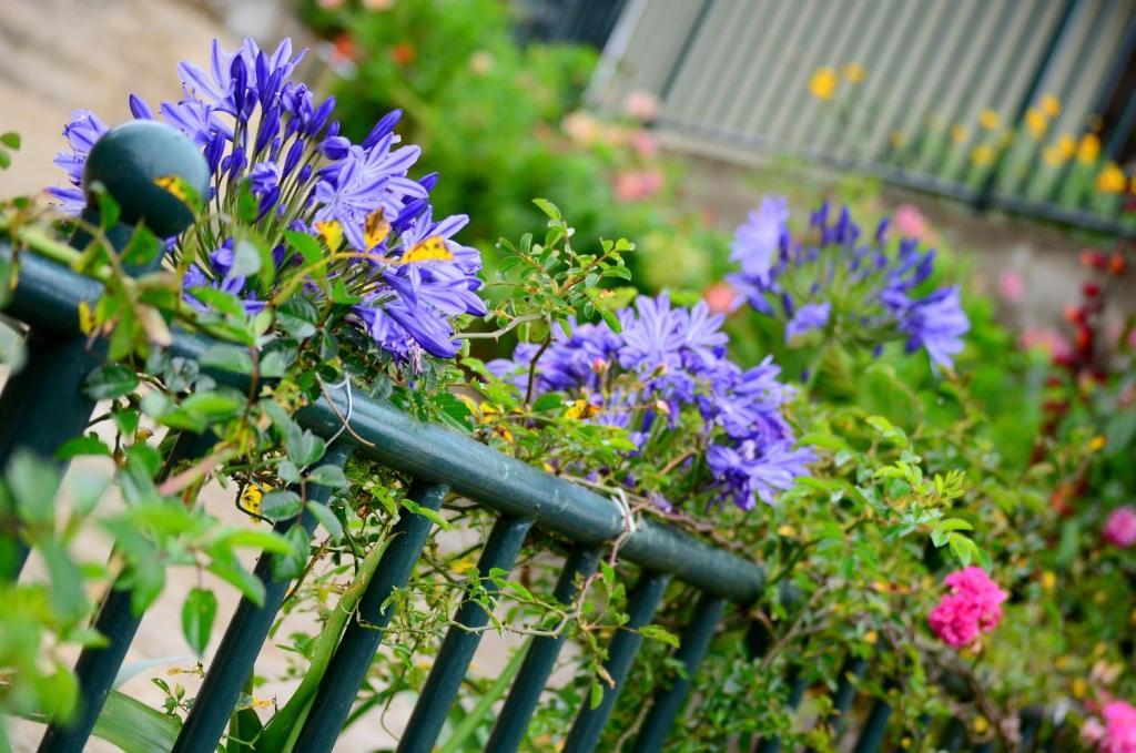 Spring Acre