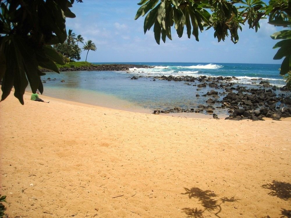 Image 8