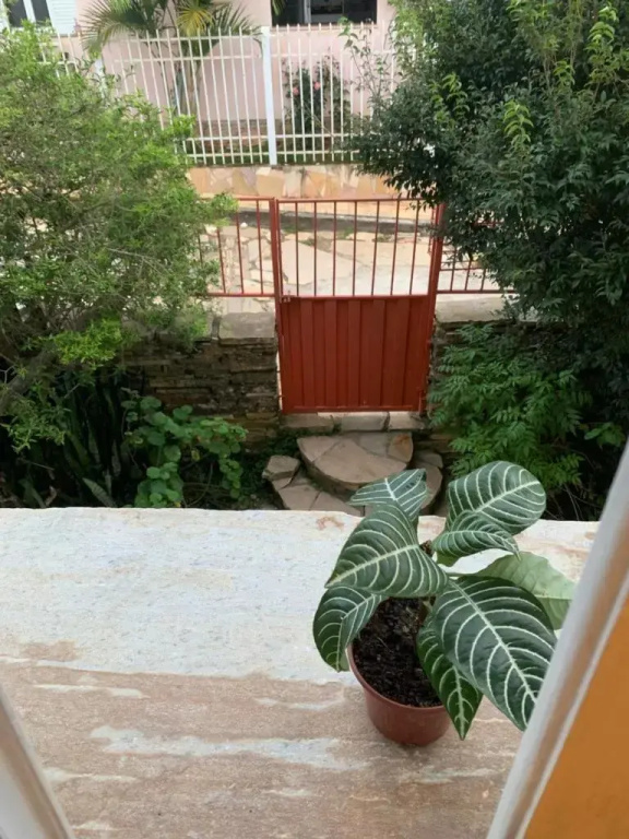 A Casa de Pedra Hostel