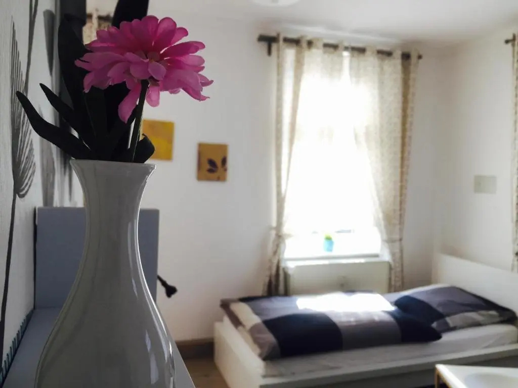 Deluxe Double room (full double bed)