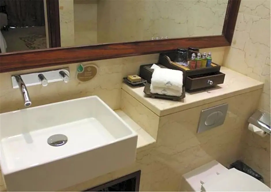 Business Double room (twin beds)
