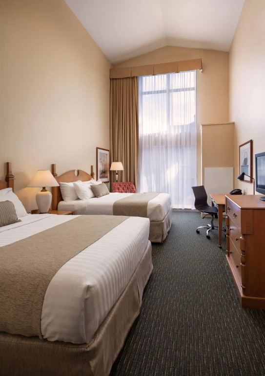 Hotel photo 50