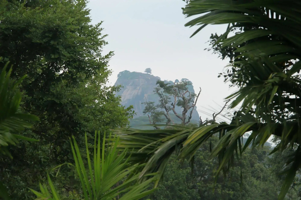 Hotel Wewa Addara - Général