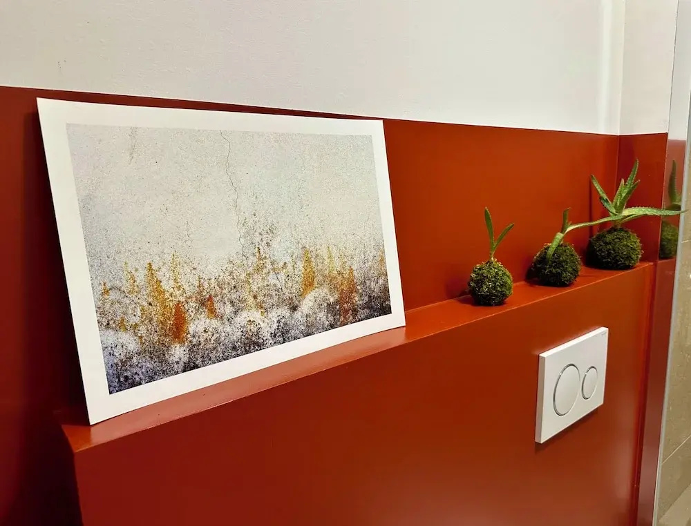 Comfort room