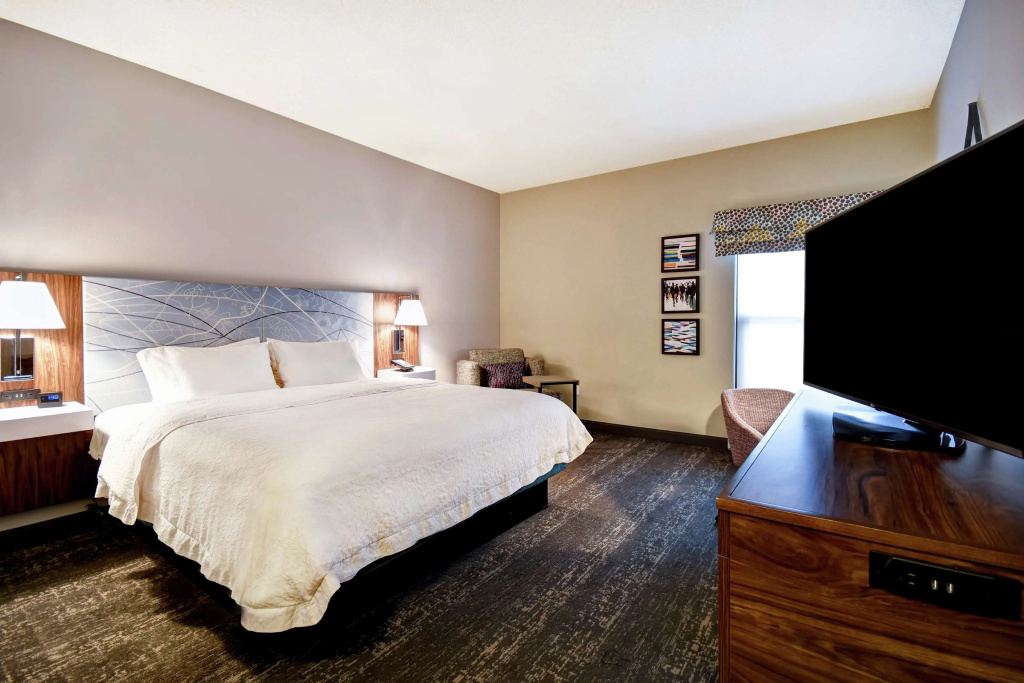 Hampton Inn Atlanta-Mall Of Georgia - Général