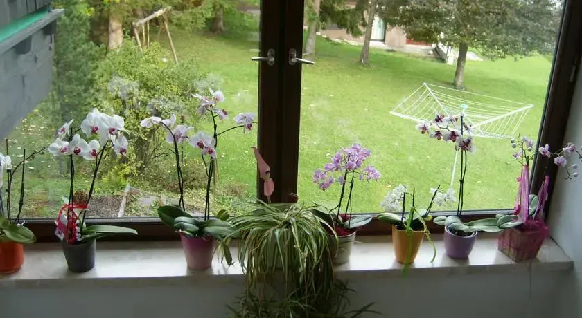 Appartements Birkenhof