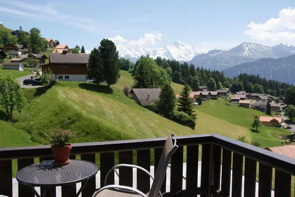Standard Double room with mountain view (full double bed)