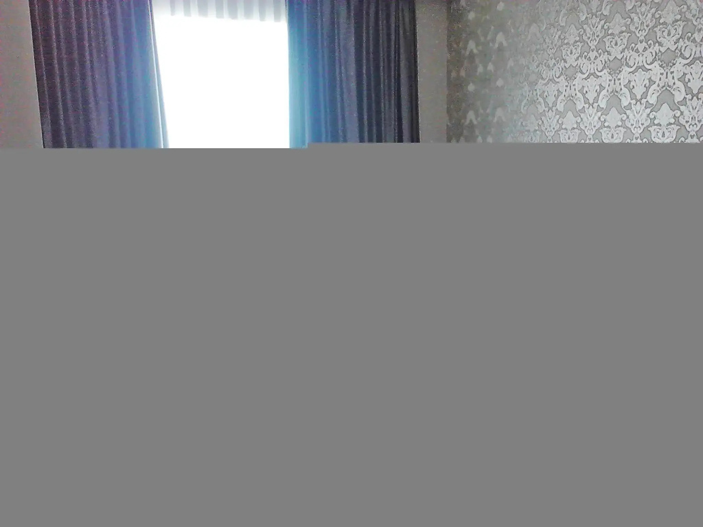 Deluxe Double room (twin beds)