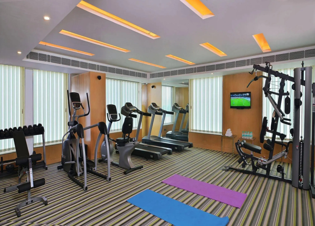 Park Inn, Gurgaon - Général