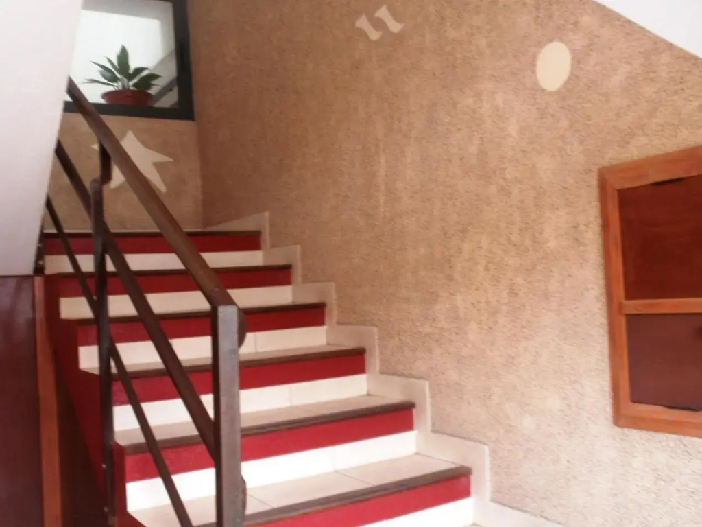 Zena Star - фото 2