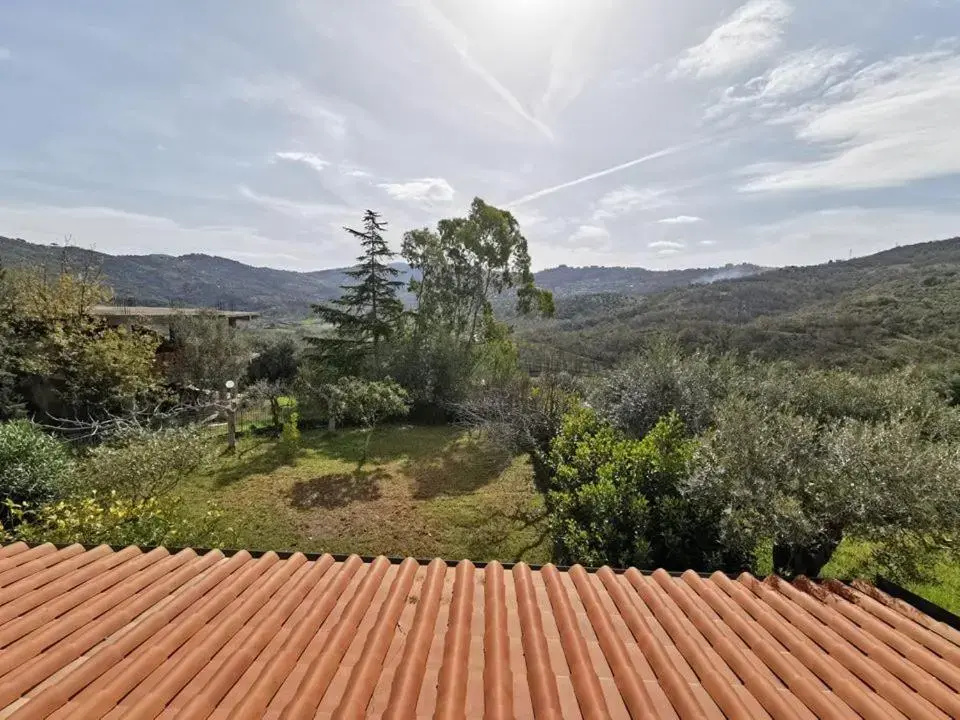 Standard Double room with garden view (full double bed)