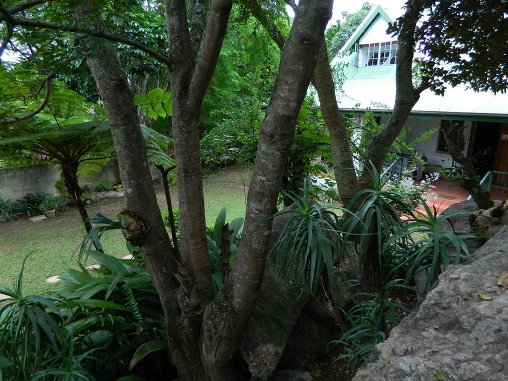 Casa Marcello — 5