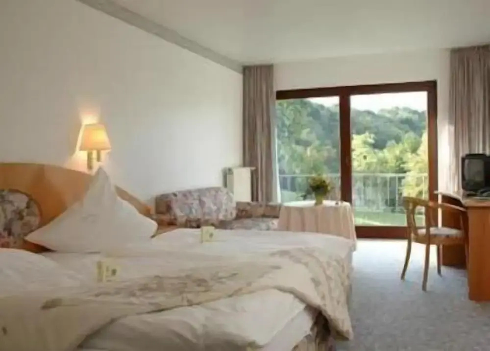 Landgasthof Hotel Zur Linde - Général