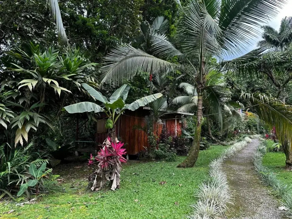 Casa Rio Blanco Eco Friendly B&B - фото 18