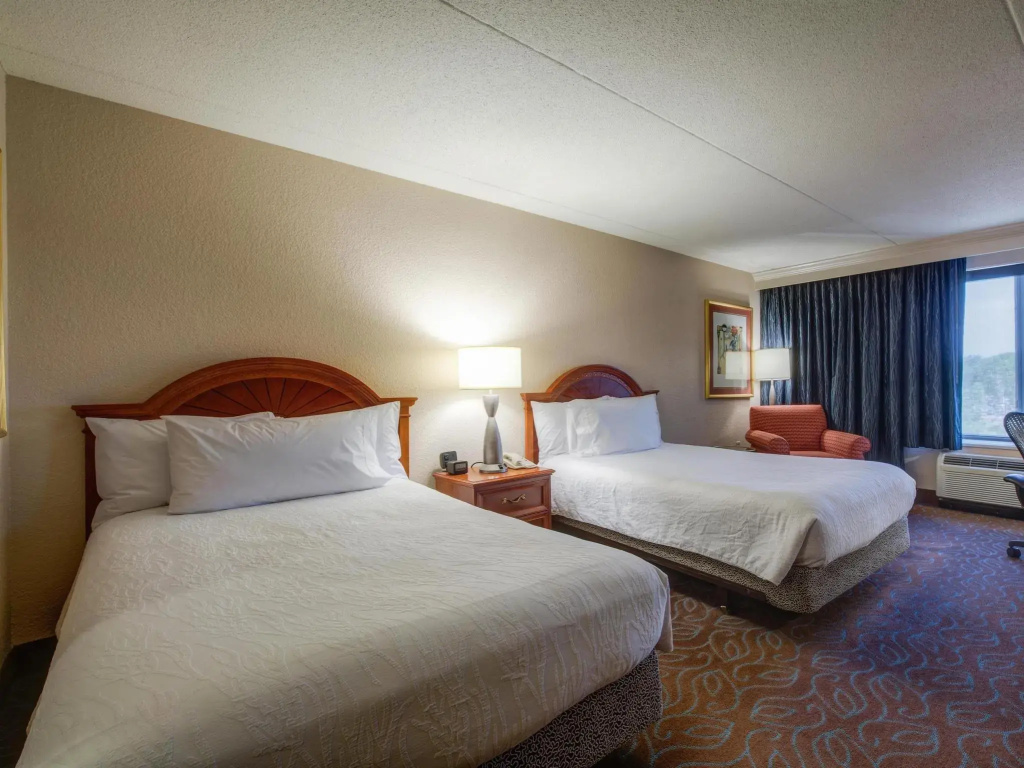 Hilton Garden Inn Detroit Metro Airport - Chambres
