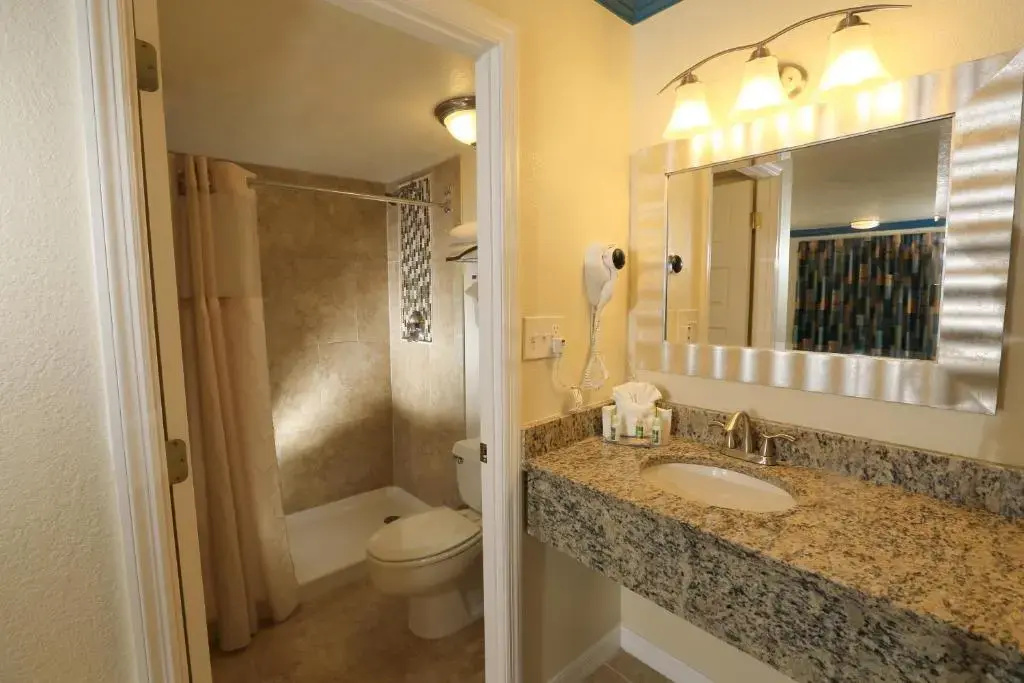 Orlando International Drive North Hotel - Chambres