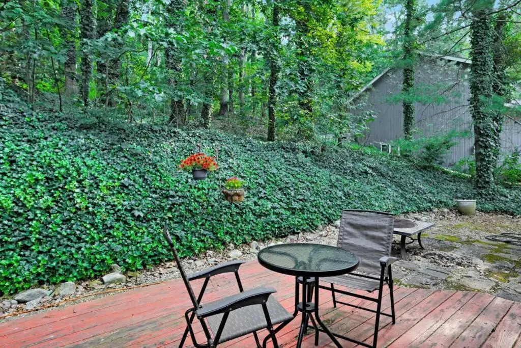 Massanutten retreat- skiing, hiking, river, resort