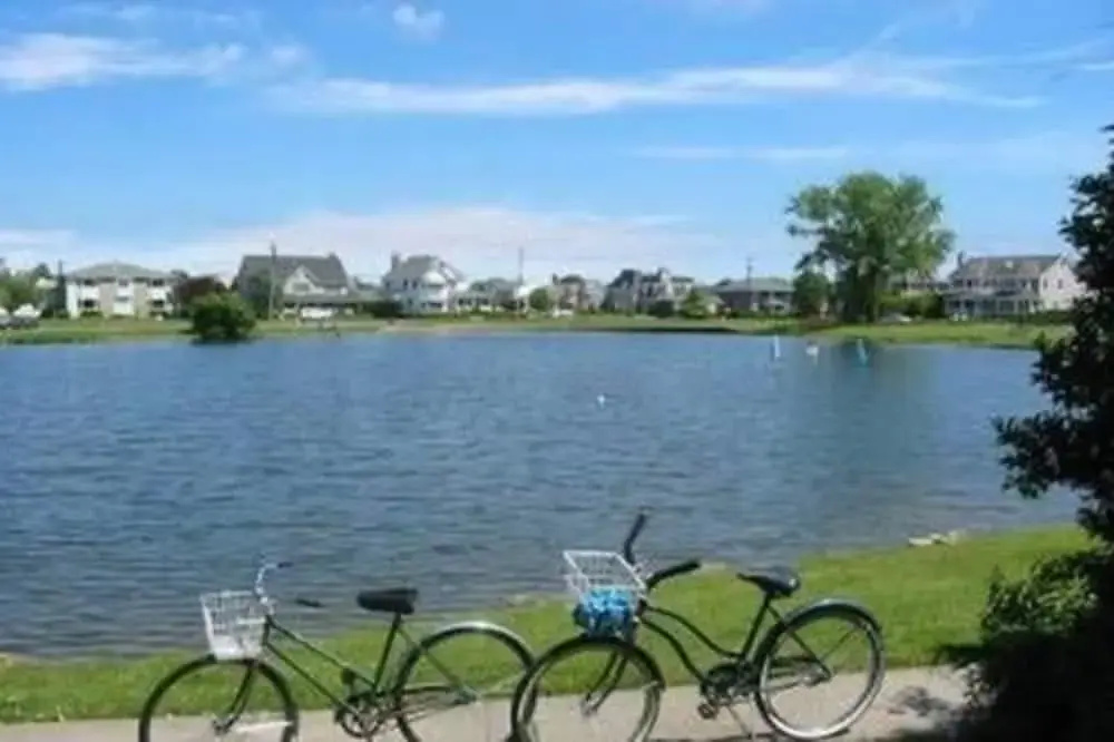 Beach & Waterfront