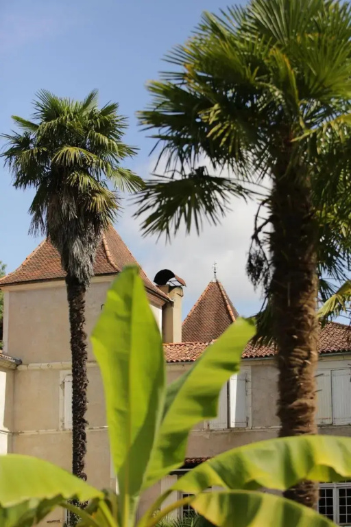 Chateau Saint Martin
