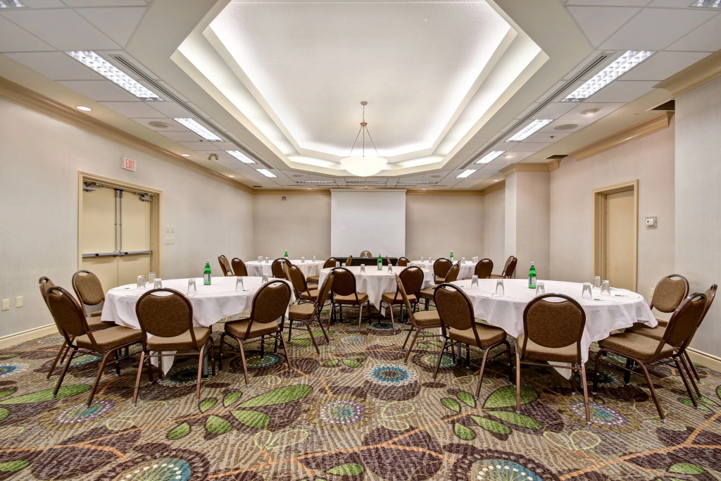Holiday Inn & Suites Windsor Ambassador Bridge by IHG - Général