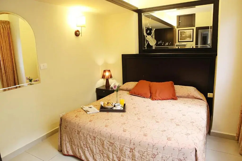 Standard Double room (full double bed)
