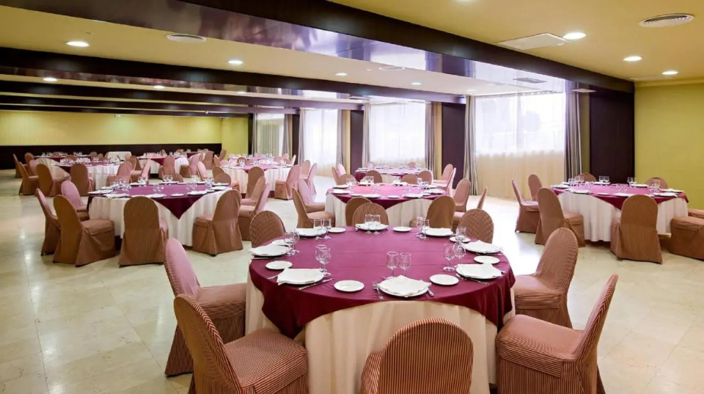 Hotel La Perdiz - Général