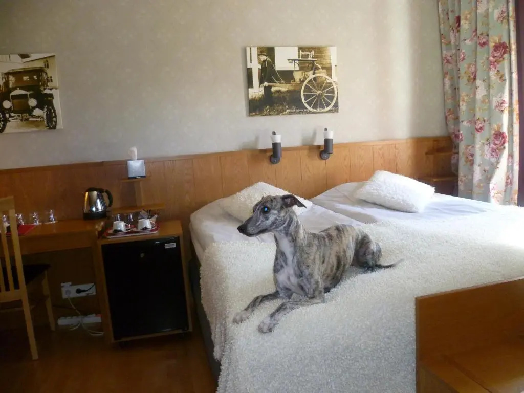 Sankt Olof Hotell & Krog - Chambres