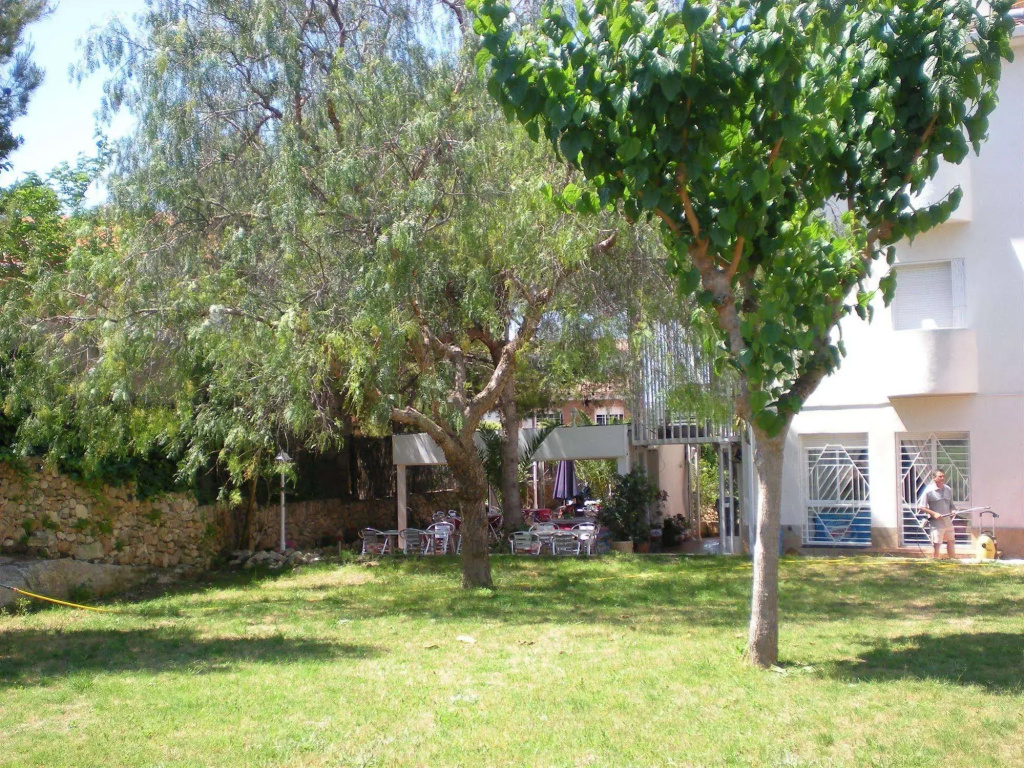 Oreneta
