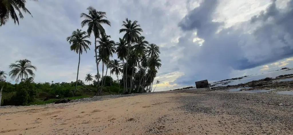 Beach & Waterfront