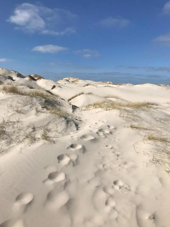 Hotel Südstrand Amrum - Vorschau 3