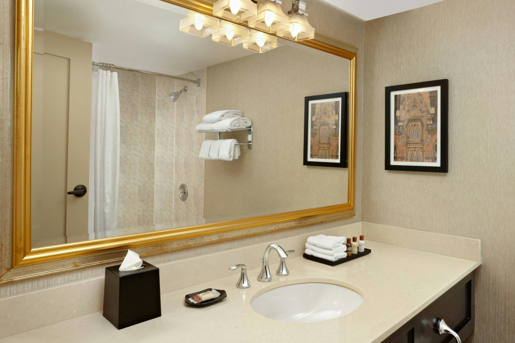 Sheraton Ottawa Hotel - Général