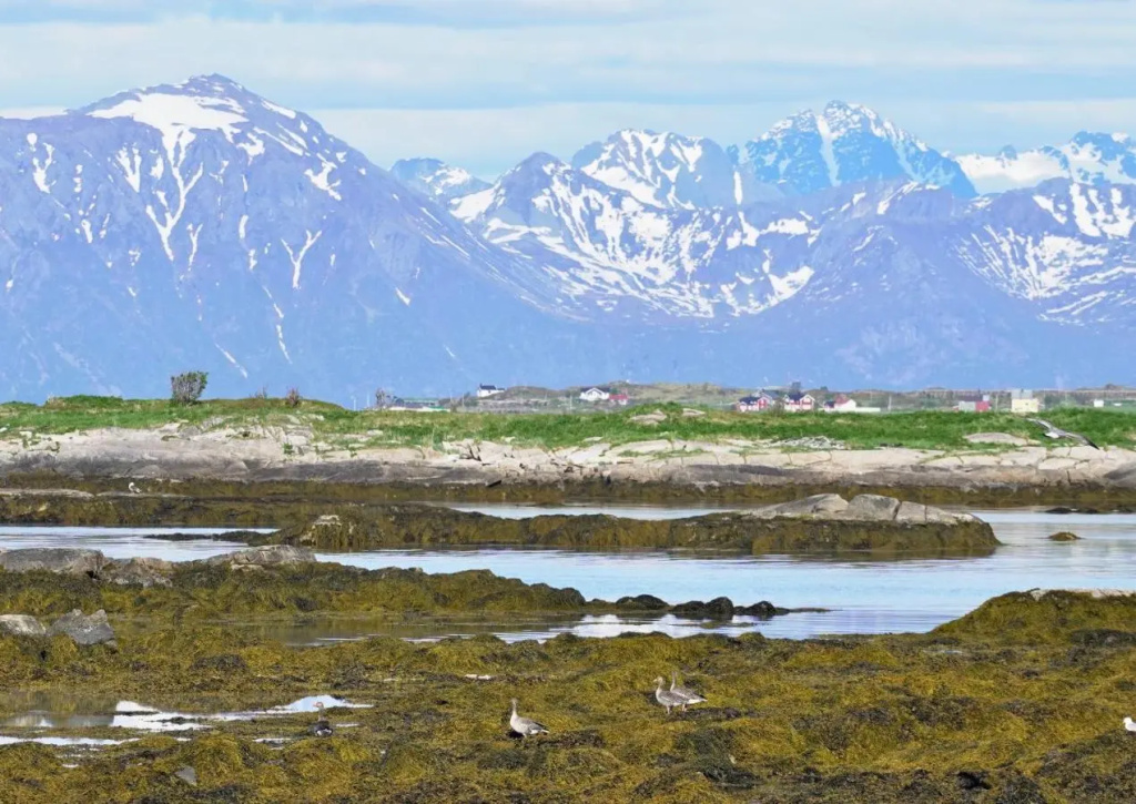 Villa Lofoten - The Saltery